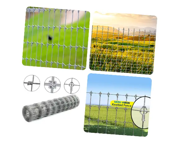 Knotted Fence hyderabad